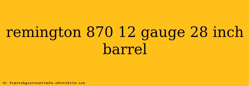 remington 870 12 gauge 28 inch barrel