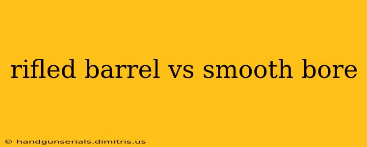 rifled barrel vs smooth bore