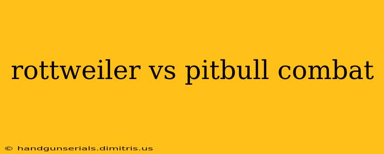 rottweiler vs pitbull combat