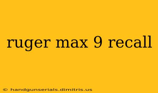 ruger max 9 recall