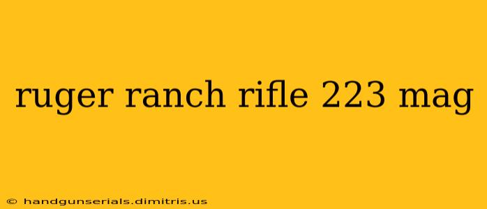 ruger ranch rifle 223 mag