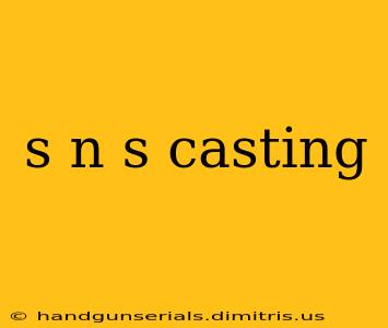 s n s casting