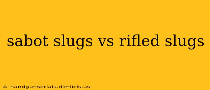 sabot slugs vs rifled slugs