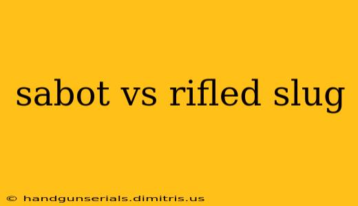 sabot vs rifled slug