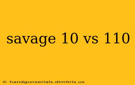 savage 10 vs 110