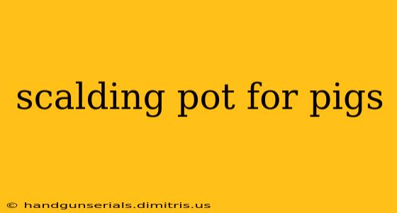 scalding pot for pigs