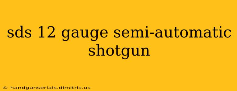 sds 12 gauge semi-automatic shotgun