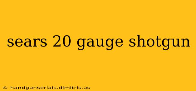 sears 20 gauge shotgun