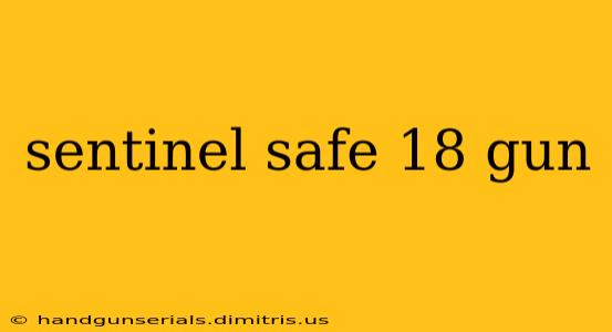 sentinel safe 18 gun