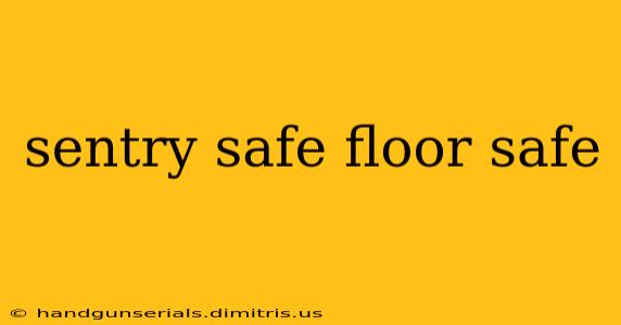 sentry safe floor safe