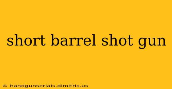 short barrel shot gun