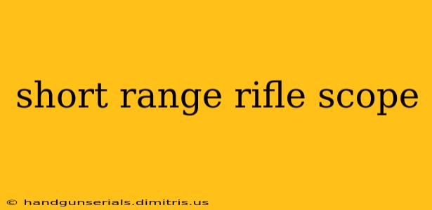 short range rifle scope