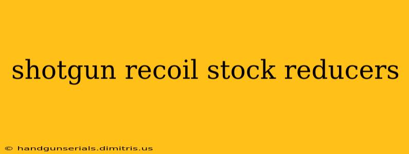 shotgun recoil stock reducers