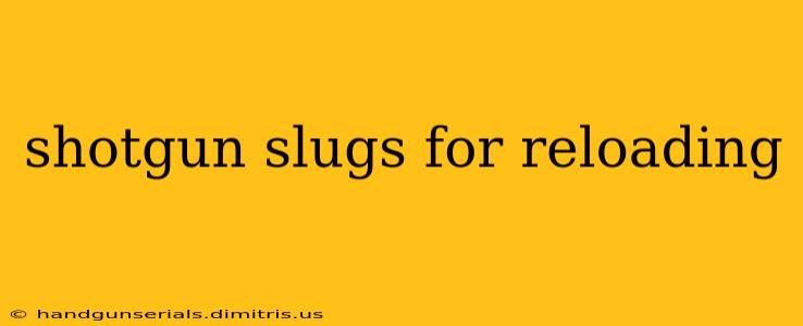 shotgun slugs for reloading