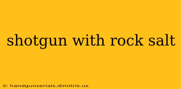 shotgun with rock salt