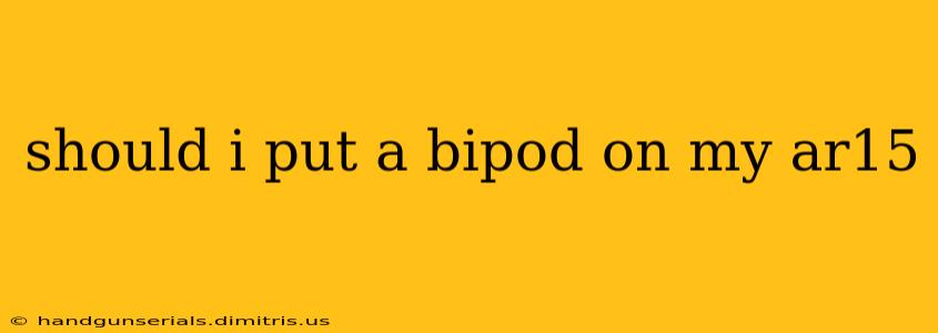 should i put a bipod on my ar15