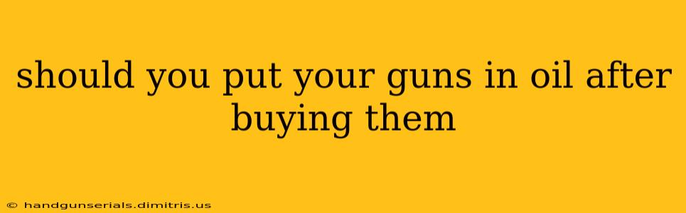 should you put your guns in oil after buying them