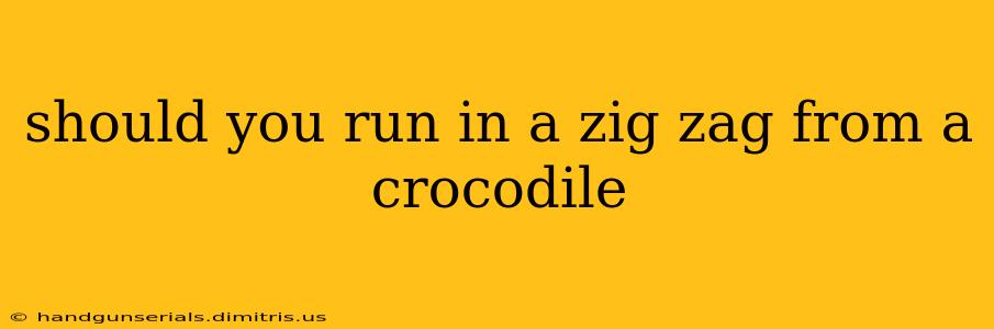 should you run in a zig zag from a crocodile