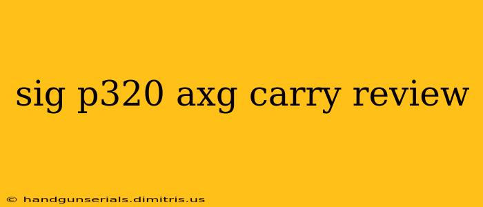 sig p320 axg carry review