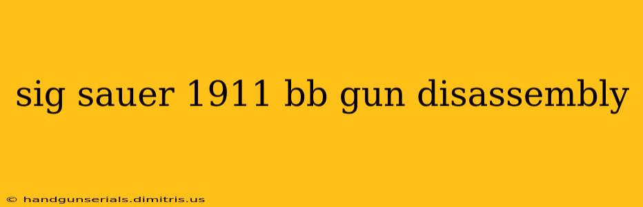 sig sauer 1911 bb gun disassembly