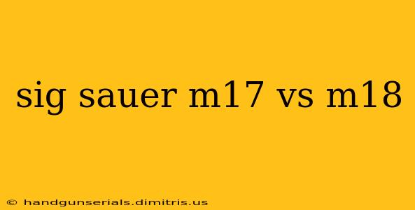 sig sauer m17 vs m18