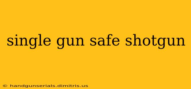 single gun safe shotgun