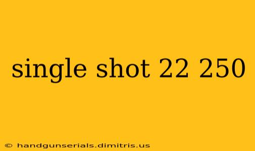 single shot 22 250