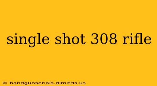 single shot 308 rifle