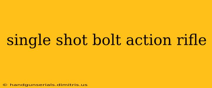 single shot bolt action rifle