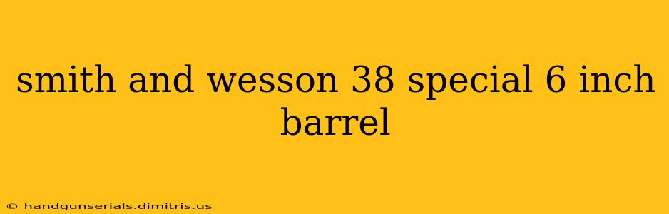 smith and wesson 38 special 6 inch barrel