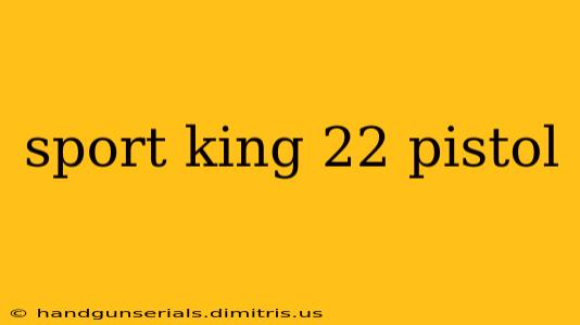 sport king 22 pistol