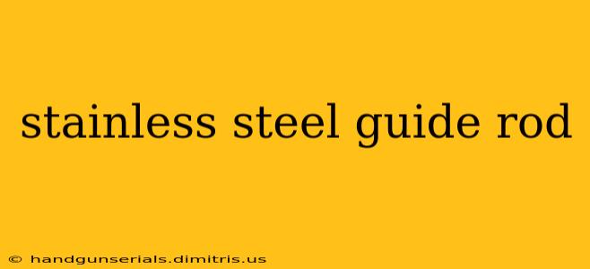 stainless steel guide rod