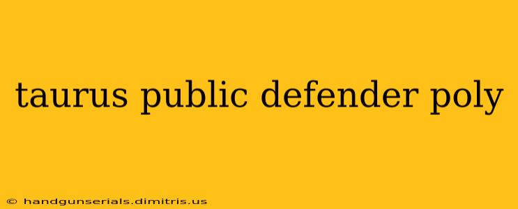 taurus public defender poly