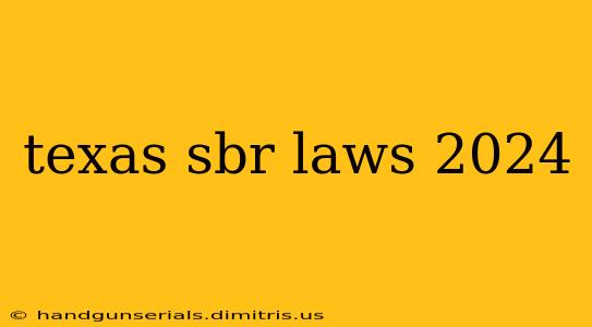 texas sbr laws 2024