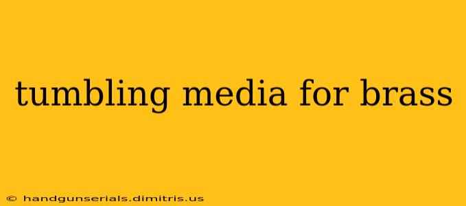 tumbling media for brass