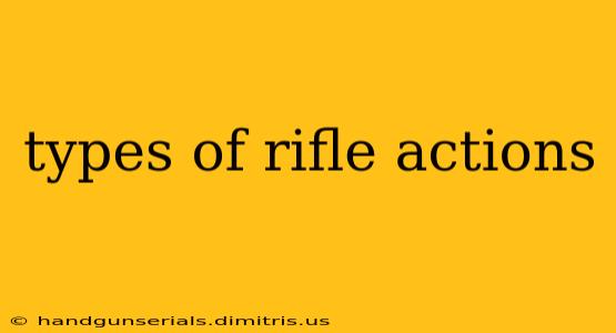 types of rifle actions