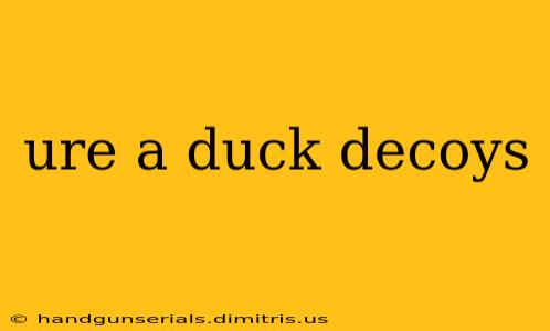 ure a duck decoys