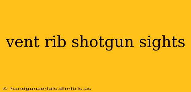 vent rib shotgun sights