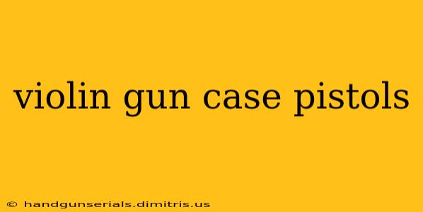 violin gun case pistols