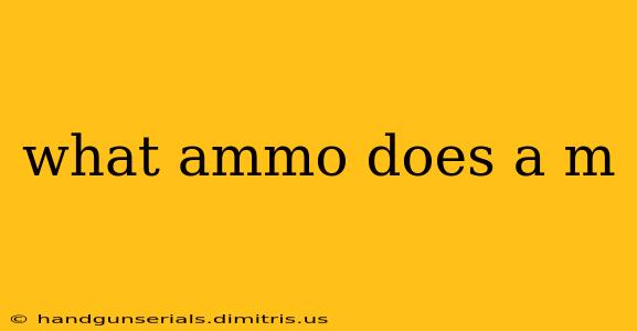 what ammo does a m