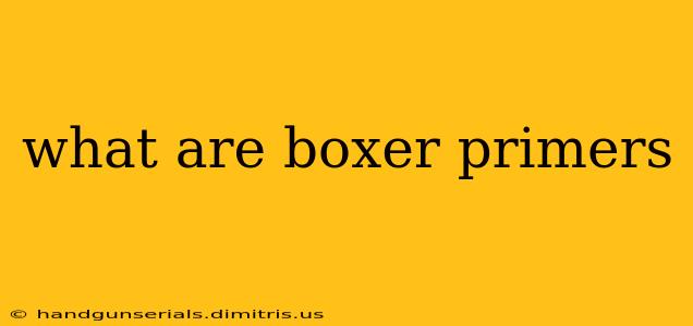 what are boxer primers