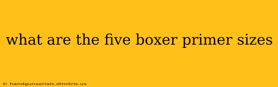 what are the five boxer primer sizes