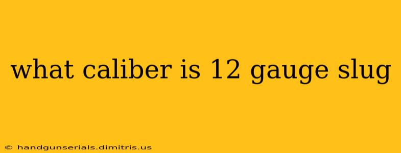 what caliber is 12 gauge slug