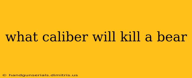 what caliber will kill a bear