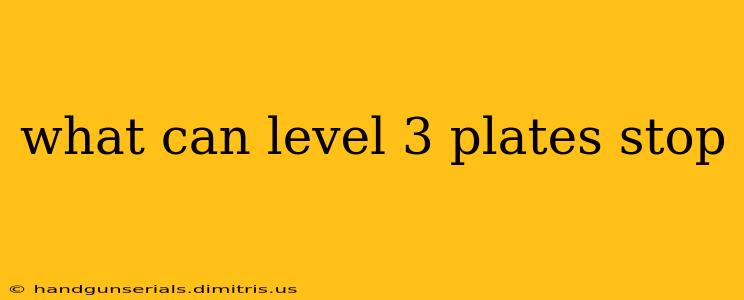 what can level 3 plates stop