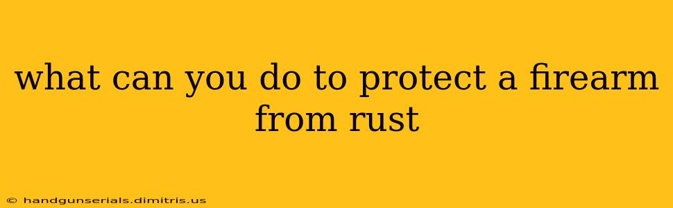 what can you do to protect a firearm from rust