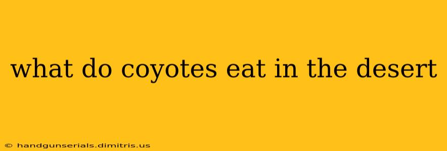 what do coyotes eat in the desert