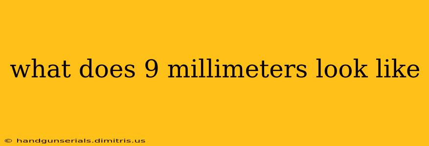 what does 9 millimeters look like