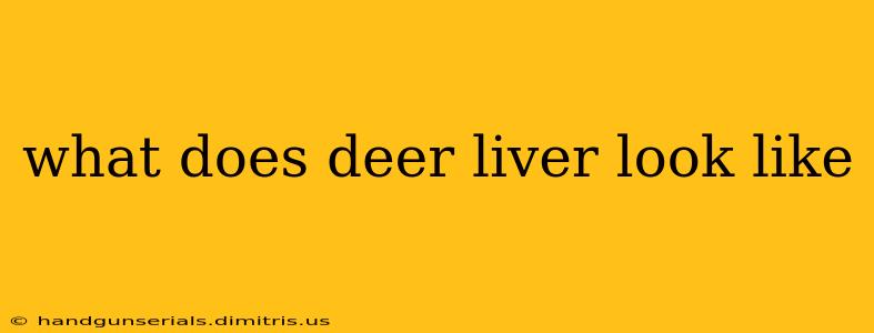 what does deer liver look like