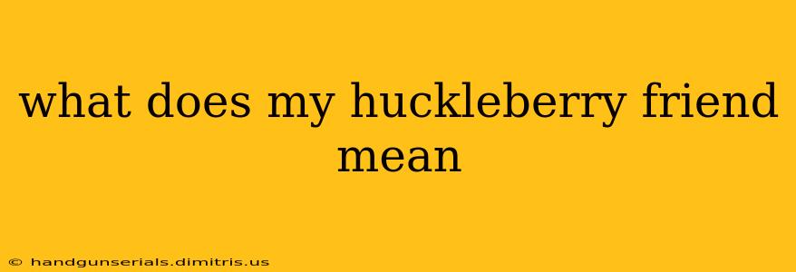 what does my huckleberry friend mean